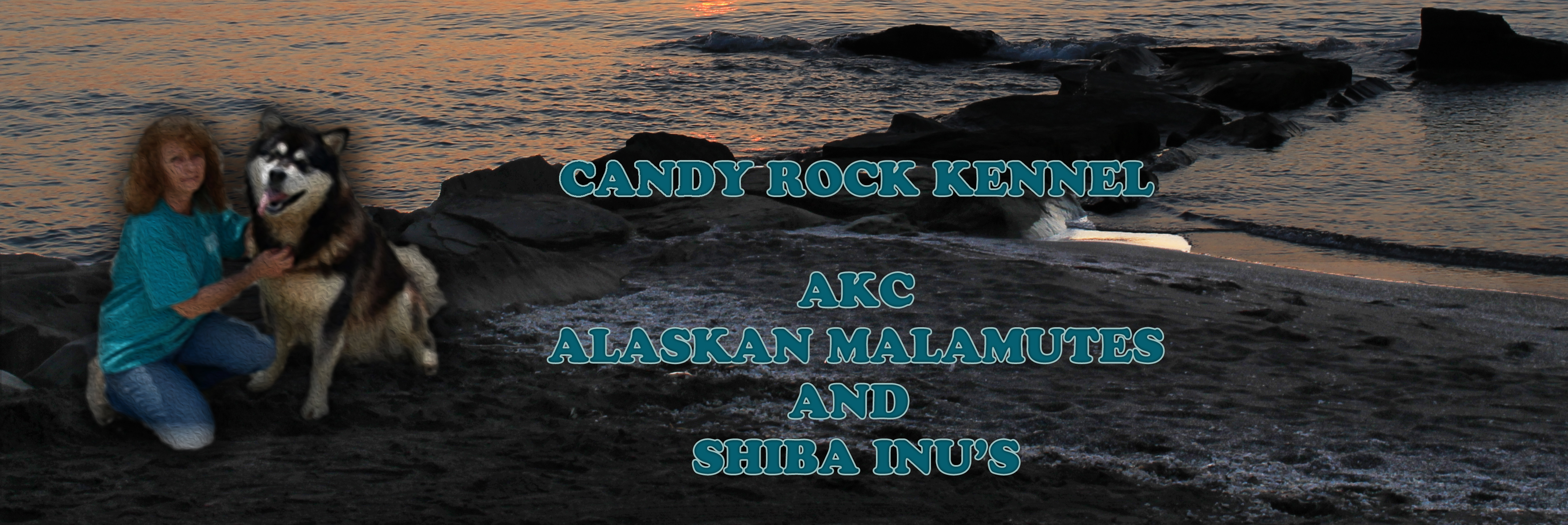 Candy Rock Kennel AKC Alaskan Malamutes and Shiba Inu's